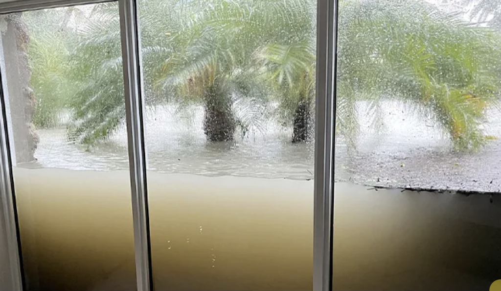 Discover the Best 5 Hurricane Impact Windows for Ultimate Safety in South Florida